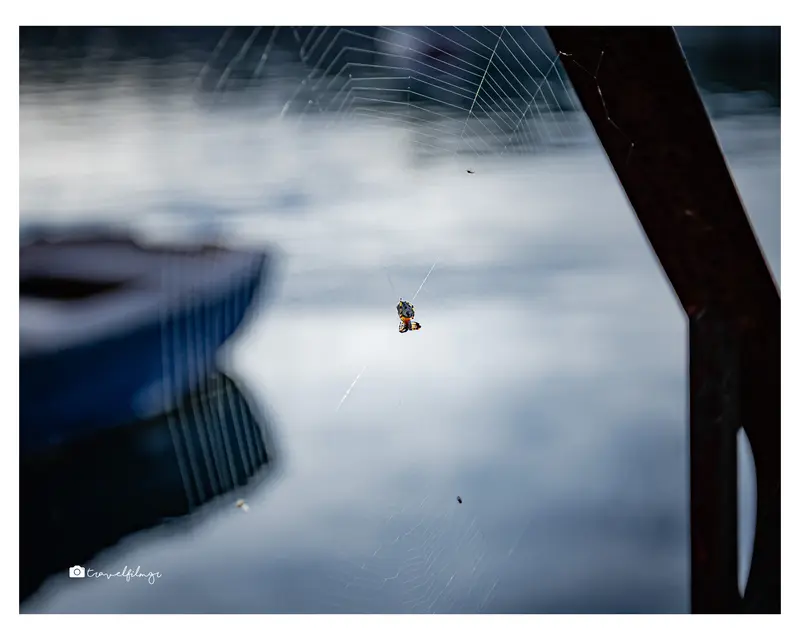 Fragile Geometry